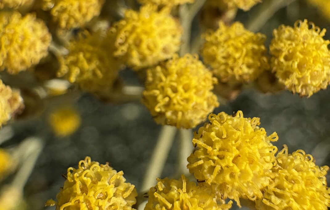Kraftvoll in den Frühling starten