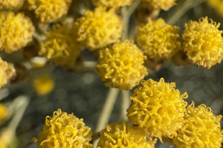 Kraftvoll in den Frühling starten