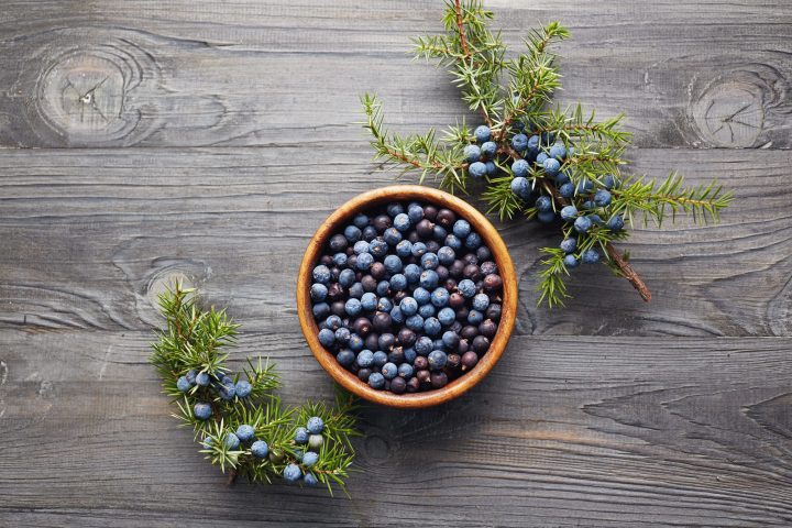 Gelenks- u. Muskelöl mit Wacholderbeeren